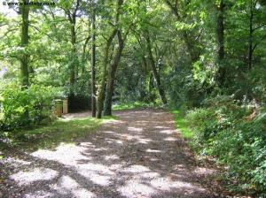 The wooded path beyond Furzedown Farm